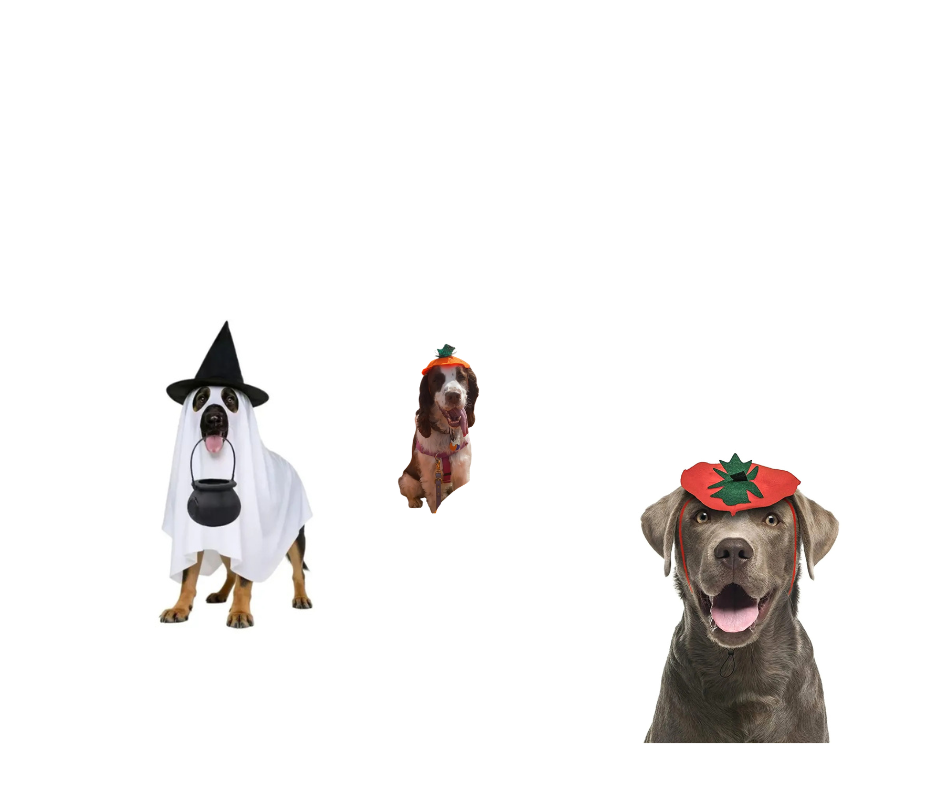 4 Pack Halloween Dog Bandanas,Adjustable Triangle Bibs Pumpkin Dog Bandana Pet Scarf for Small Medium Large Dogs and Cats Halloween Pet Costume Supply Gift
