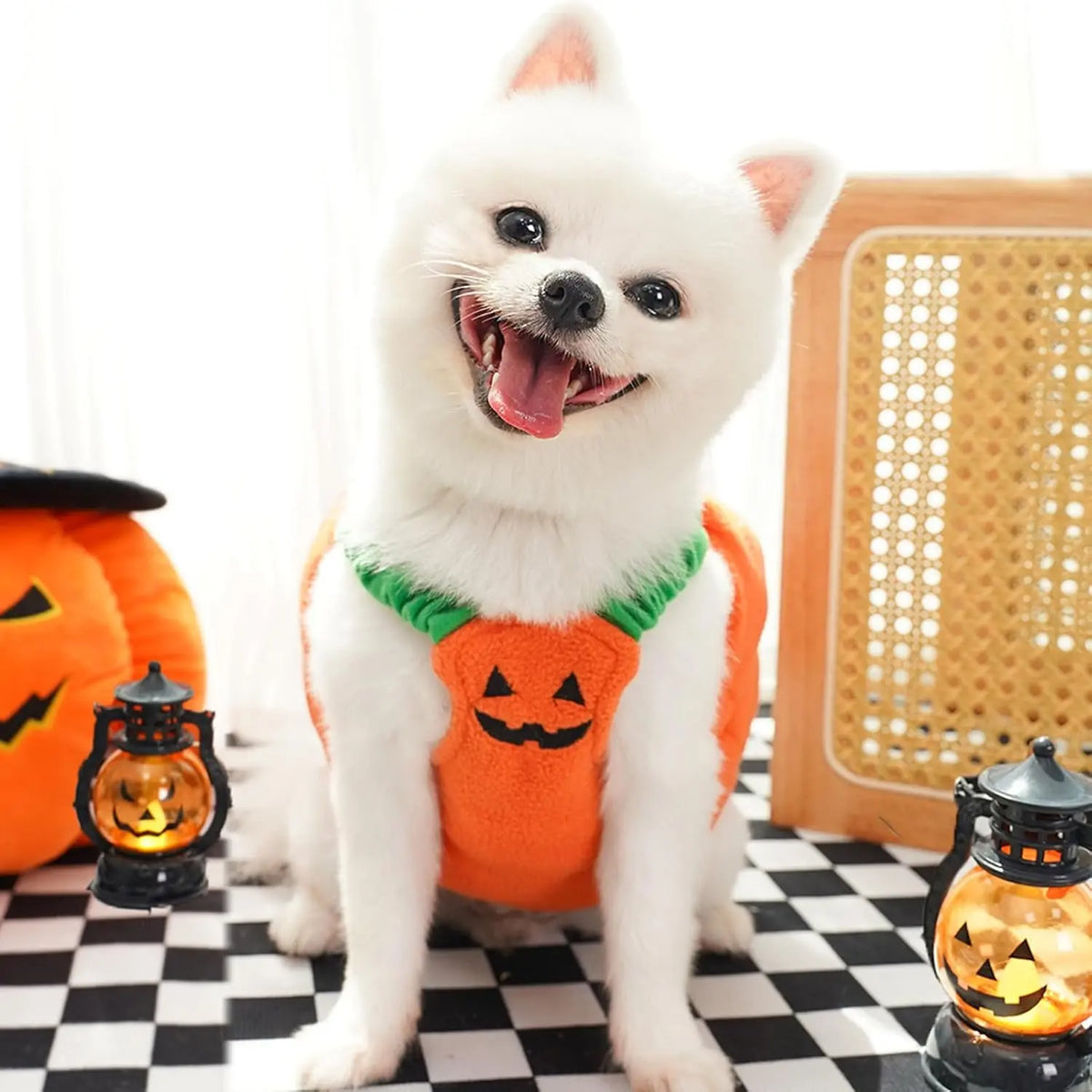 Halloween Pumpkin Dog Costume with Witch Hat, Cute Pet Pumpkin Outfit Warm Fleece Puppy Clothes for Small Medium Dogs Cats Halloween Party Cosplay Dress Up