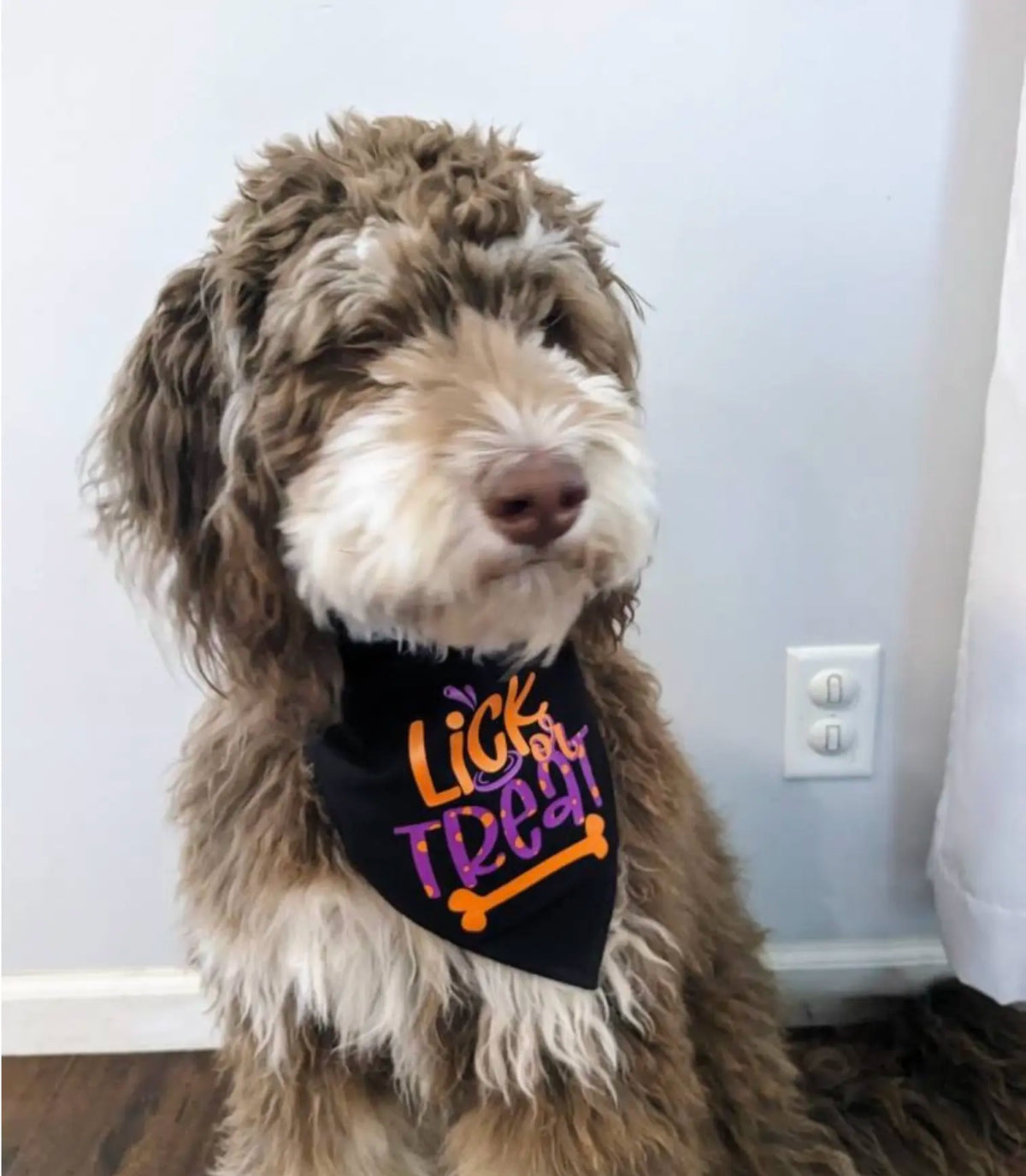 Halloween Dog Bandana - Lick or Treat Pumpkin Print Design Reversible Bandana for Dogs Sizes X-Small to X-Large Festive Fashion Halloween Essentials