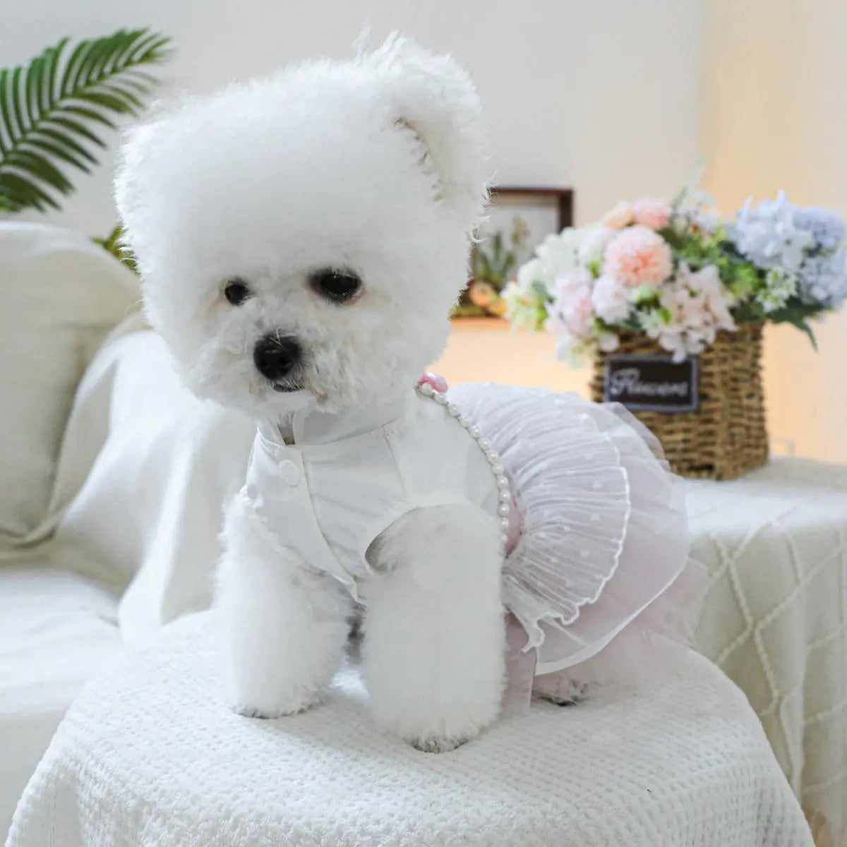 Pet Dress, Cute Flower Decor Pet Dress, Pet Clothes for Small Dogs, Fashionable Pet Clothing for Dogs, Dog & Cat Clothing Supplies, Poodle, Puppy Clothes