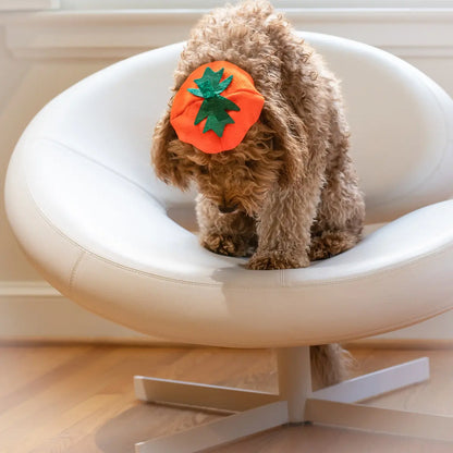 Midlee Dog Pumpkin Headband Halloween Costume