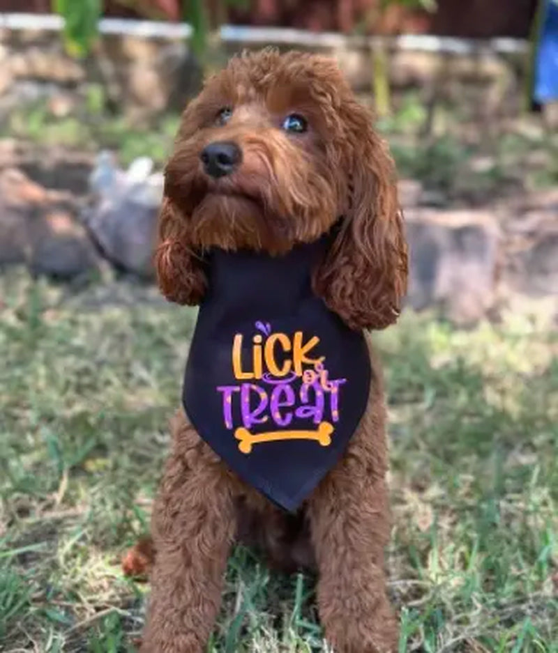 Halloween Dog Bandana - Lick or Treat Pumpkin Print Design Reversible Bandana for Dogs Sizes X-Small to X-Large Festive Fashion Halloween Essentials