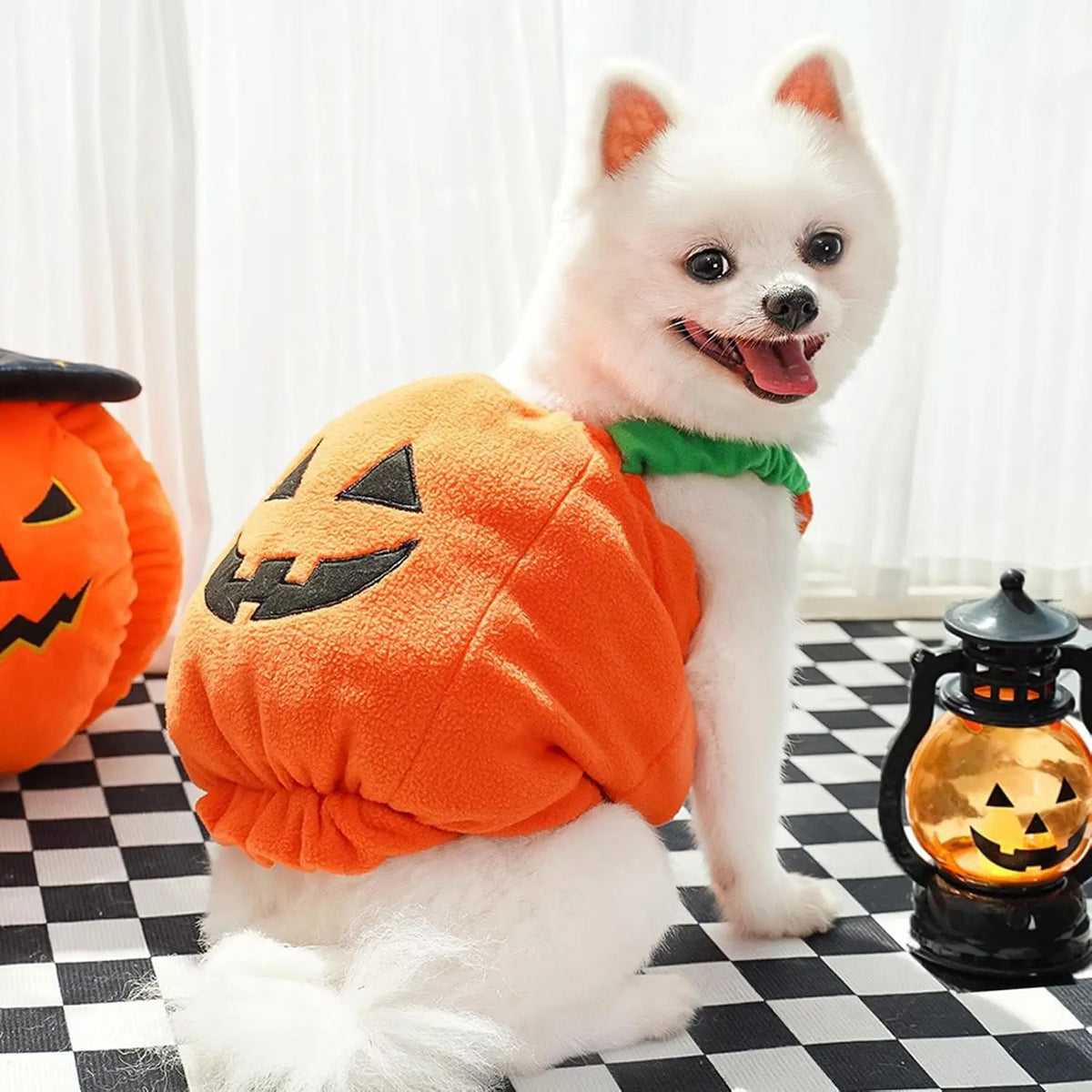 Halloween Pumpkin Dog Costume with Witch Hat, Cute Pet Pumpkin Outfit Warm Fleece Puppy Clothes for Small Medium Dogs Cats Halloween Party Cosplay Dress Up