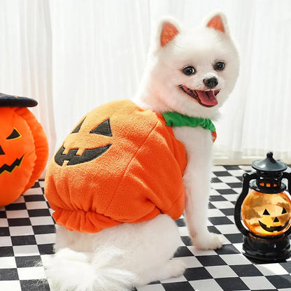 Halloween Pumpkin Dog Costume with Witch Hat, Cute Pet Pumpkin Outfit Warm Fleece Puppy Clothes for Small Medium Dogs Cats Halloween Party Cosplay Dress Up