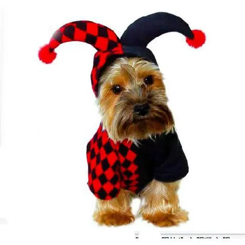 Funny and Quirky 3D Clown Halloween Pet Costume Halloween Ghost Dog Onesie Pajamas Funny Ghost Rider Dog Costume Adjustable Halloween Cat Costume Set Purple Witch Pet Cloak Hat