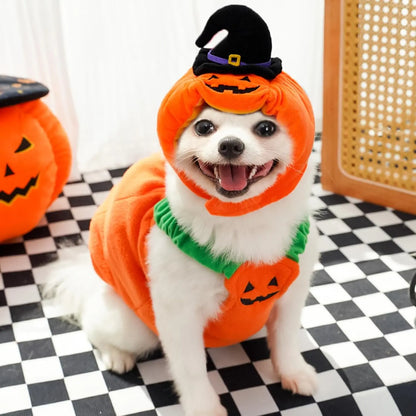 Halloween Pumpkin Dog Costume with Witch Hat, Cute Pet Pumpkin Outfit Warm Fleece Puppy Clothes for Small Medium Dogs Cats Halloween Party Cosplay Dress Up