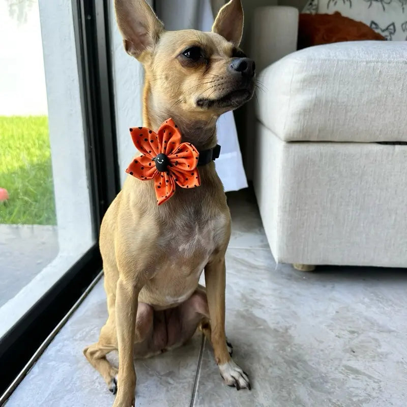 Halloween Collar Flowers for Dogs & Cats - 3 Inch & 4 Inch Options with Orange Polka Dot Design - Handcrafted Cotton Flowers for Festive Halloween Celebrations