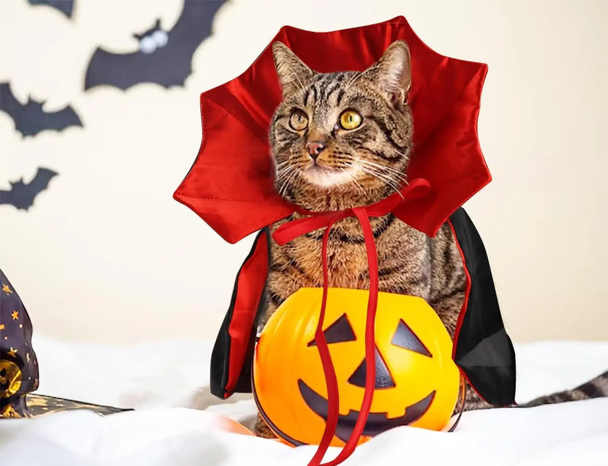 Halloween Vampire Cloak Costume Adjustable Red Black Pet Cape Costume Clothes, Halloween Pet Accessories Costumes Outfit Decor Cowl for Small Cats Dogs Halloween Party Pet