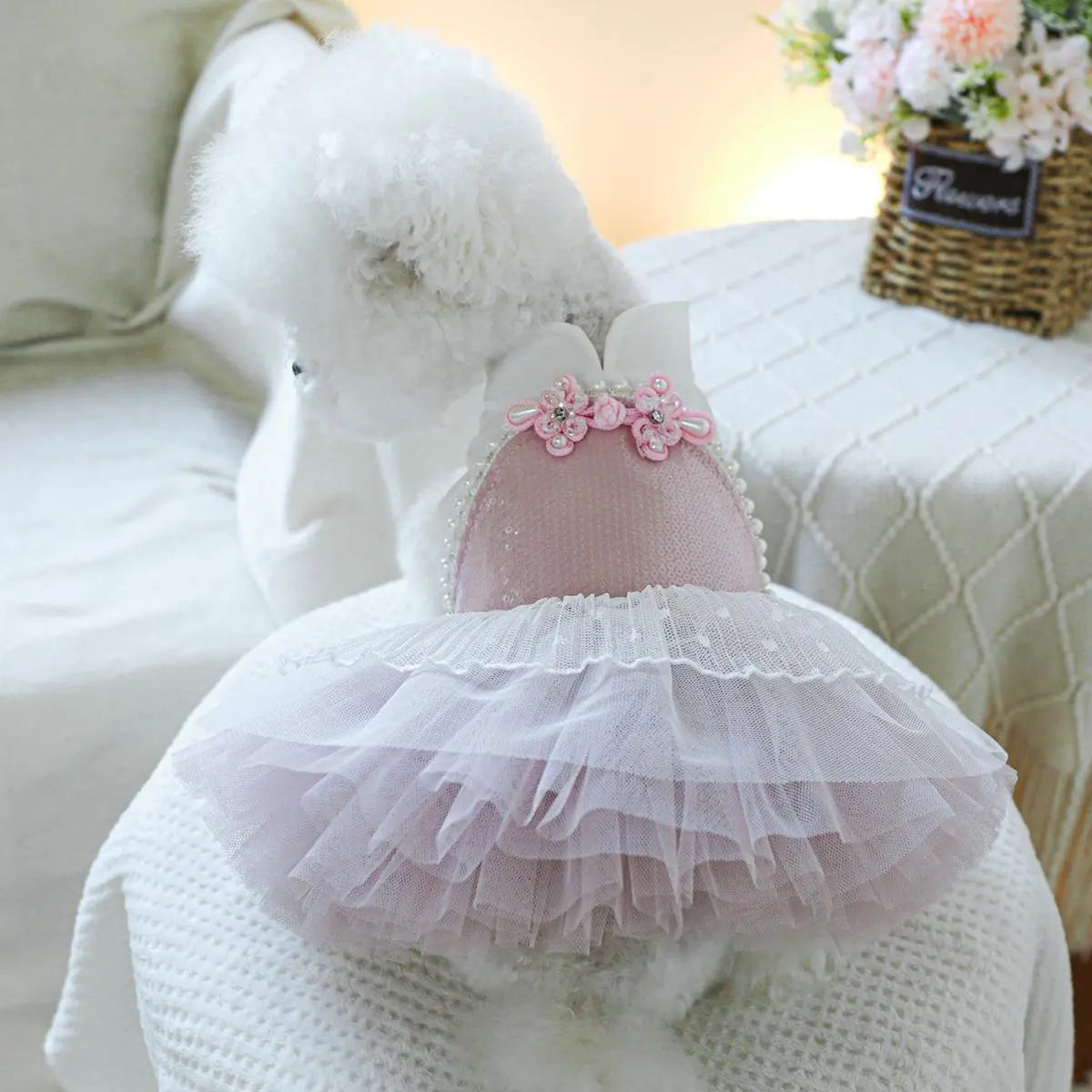 Pet Dress, Cute Flower Decor Pet Dress, Pet Clothes for Small Dogs, Fashionable Pet Clothing for Dogs, Dog & Cat Clothing Supplies, Poodle, Puppy Clothes