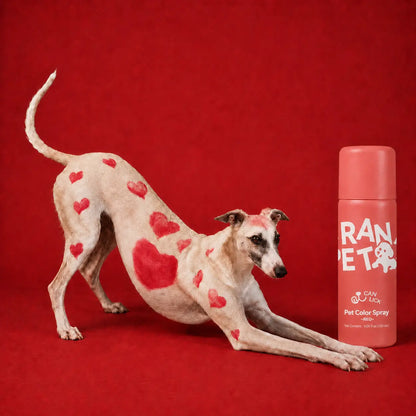 Pet Safe Color Spray-Crane Pet，Temporary Pet Hair Color Spray – Non Toxic&Washable，