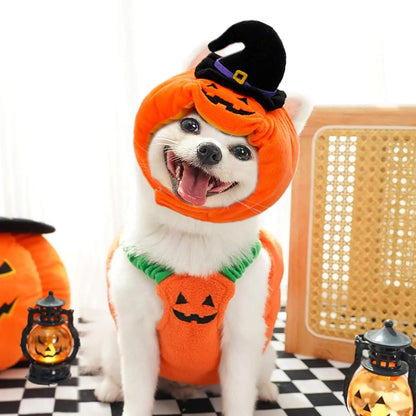 Halloween Pumpkin Dog Costume with Witch Hat, Cute Pet Pumpkin Outfit Warm Fleece Puppy Clothes for Small Medium Dogs Cats Halloween Party Cosplay Dress Up