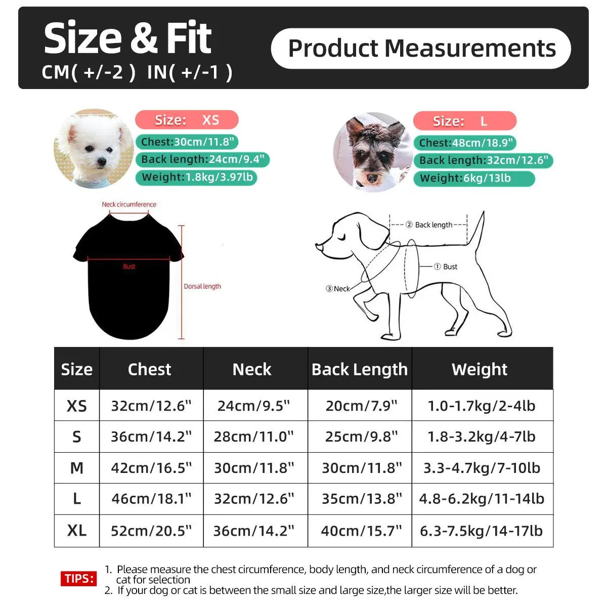 Pet Dress, Cute Flower Decor Pet Dress, Pet Clothes for Small Dogs, Fashionable Pet Clothing for Dogs, Dog & Cat Clothing Supplies, Poodle, Puppy Clothes