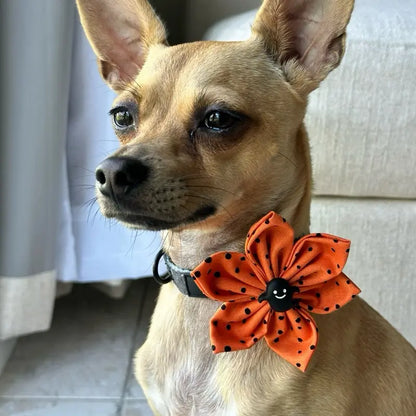 Halloween Collar Flowers for Dogs & Cats - 3 Inch & 4 Inch Options with Orange Polka Dot Design - Handcrafted Cotton Flowers for Festive Halloween Celebrations