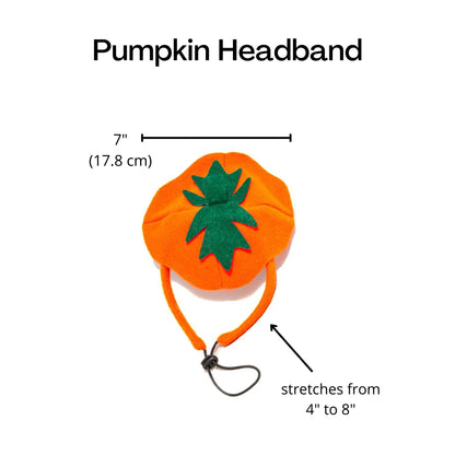 Midlee Dog Pumpkin Headband Halloween Costume