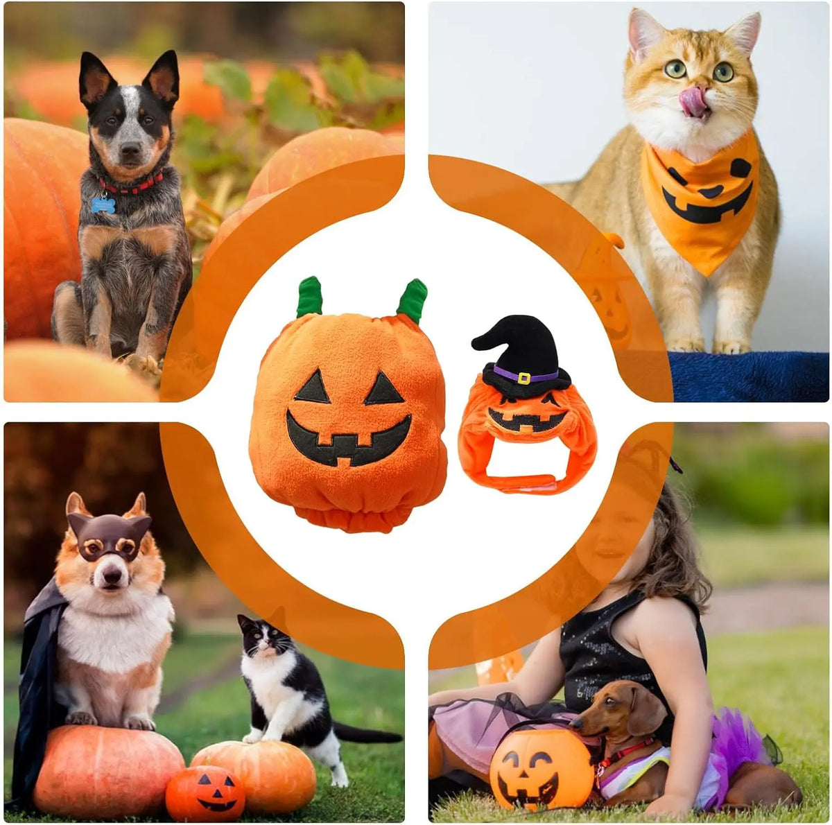Halloween Pumpkin Dog Costume with Witch Hat, Cute Pet Pumpkin Outfit Warm Fleece Puppy Clothes for Small Medium Dogs Cats Halloween Party Cosplay Dress Up