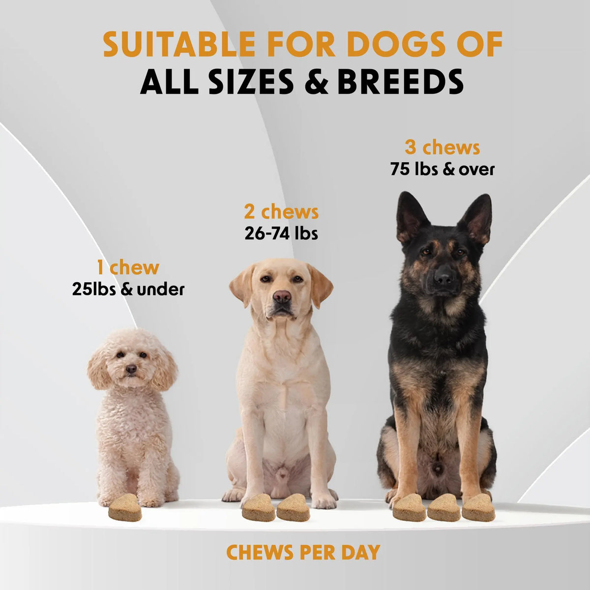 Dr Woow Fur & Skin Care Soft Chews for Dogs, High Protein Salmon Flavor Treats with Biotin & Vitamins, Promotes Shiny Coat, Reduces Dryness, Supports Healthy Skin