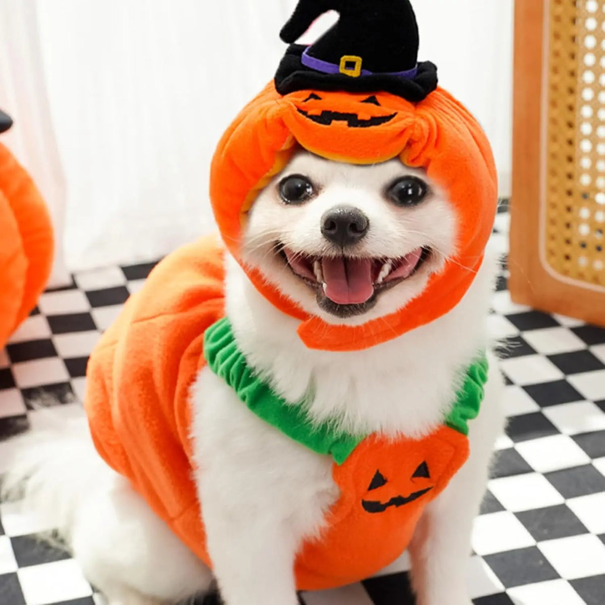 Halloween Pumpkin Dog Costume with Witch Hat, Cute Pet Pumpkin Outfit Warm Fleece Puppy Clothes for Small Medium Dogs Cats Halloween Party Cosplay Dress Up