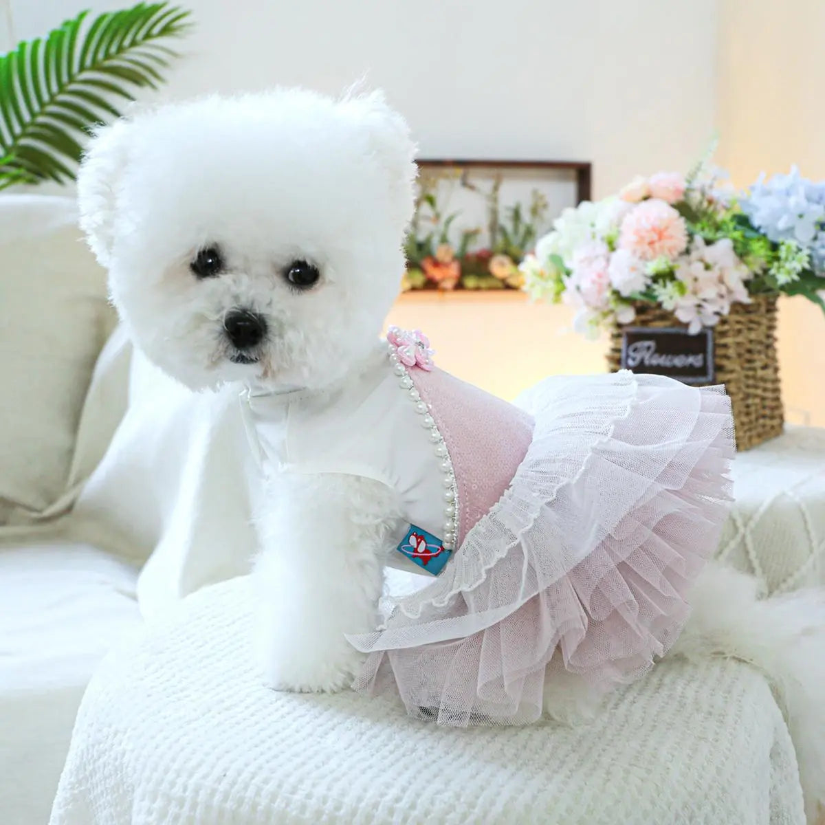 Pet Dress, Cute Flower Decor Pet Dress, Pet Clothes for Small Dogs, Fashionable Pet Clothing for Dogs, Dog & Cat Clothing Supplies, Poodle, Puppy Clothes