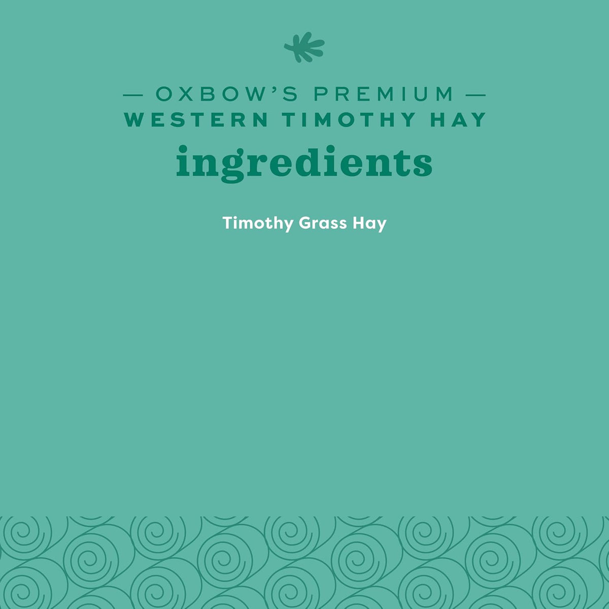 Western Timothy Hay, Guinea Pig Hay, Small Pet Bunny Supplies, All Natural Grass for Guinea Pig, Bunny, Chinchilla & Hamster, Rabbit Supplies for Bunnies, 9 Lb Box