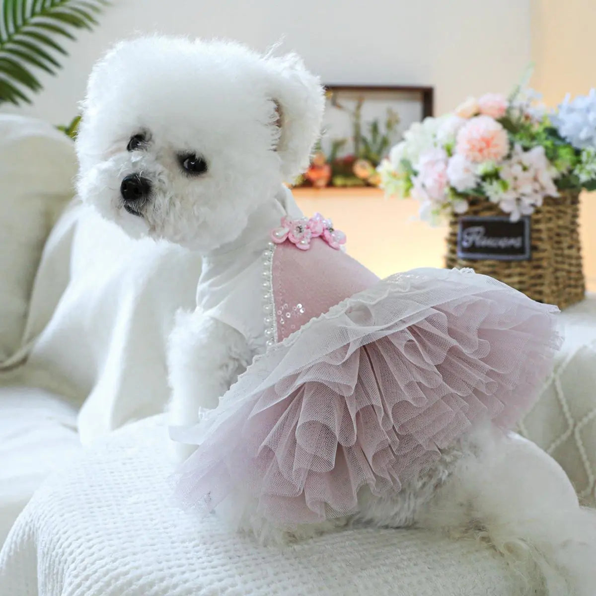 Pet Dress, Cute Flower Decor Pet Dress, Pet Clothes for Small Dogs, Fashionable Pet Clothing for Dogs, Dog & Cat Clothing Supplies, Poodle, Puppy Clothes
