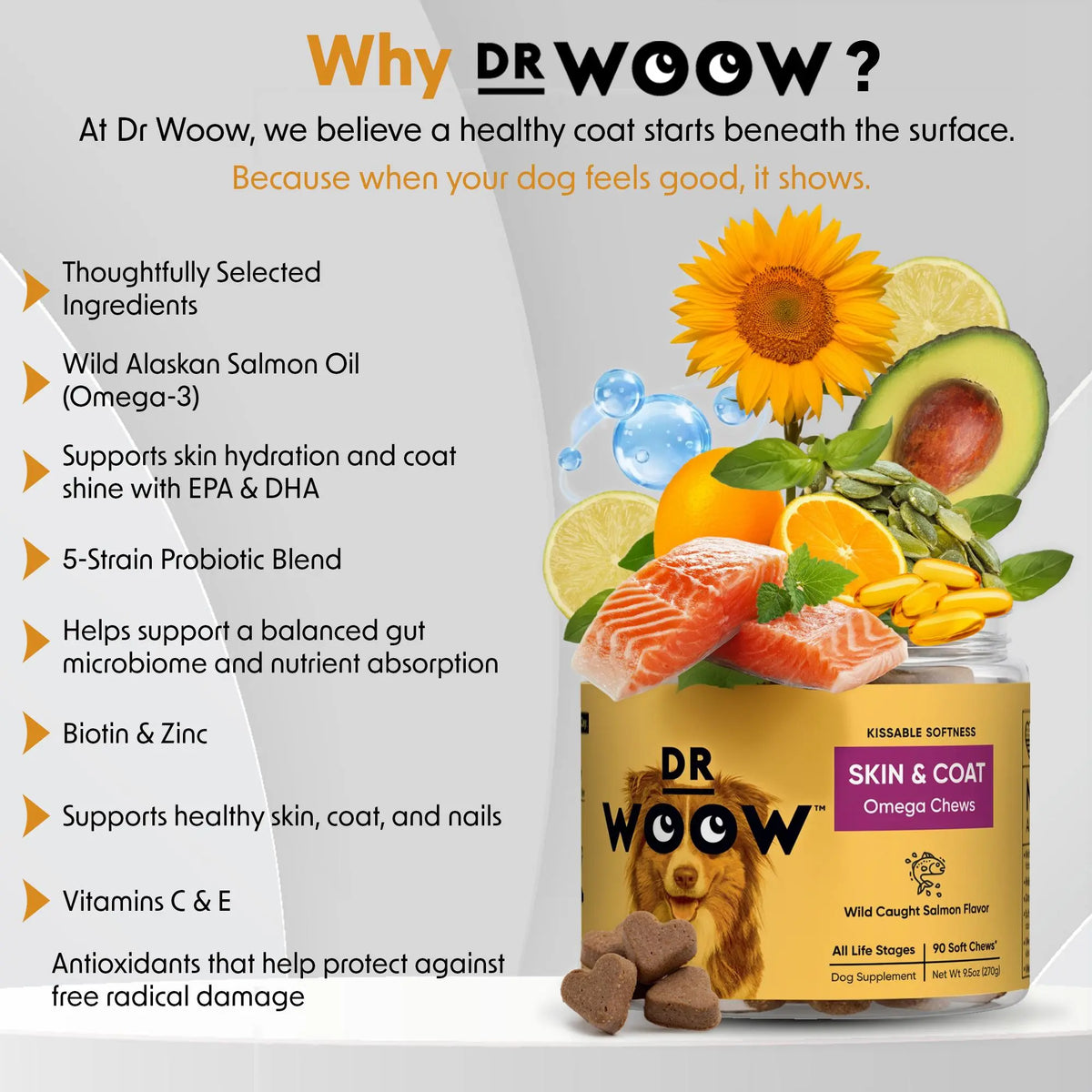 Dr Woow Fur & Skin Care Soft Chews for Dogs, High Protein Salmon Flavor Treats with Biotin & Vitamins, Promotes Shiny Coat, Reduces Dryness, Supports Healthy Skin