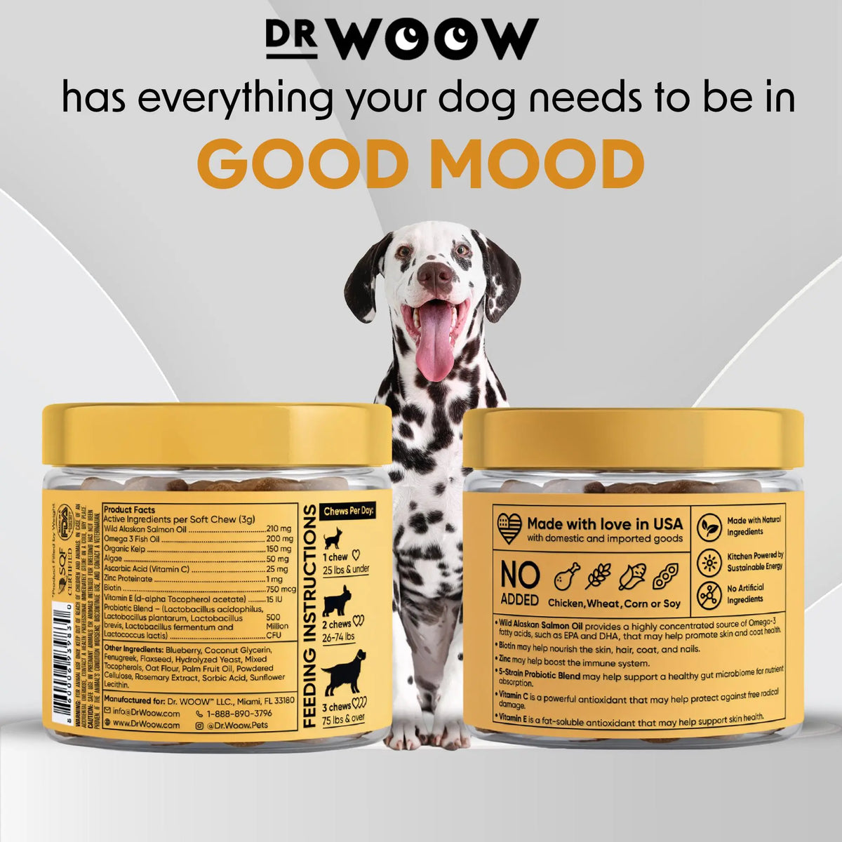 Dr Woow Fur & Skin Care Soft Chews for Dogs, High Protein Salmon Flavor Treats with Biotin & Vitamins, Promotes Shiny Coat, Reduces Dryness, Supports Healthy Skin