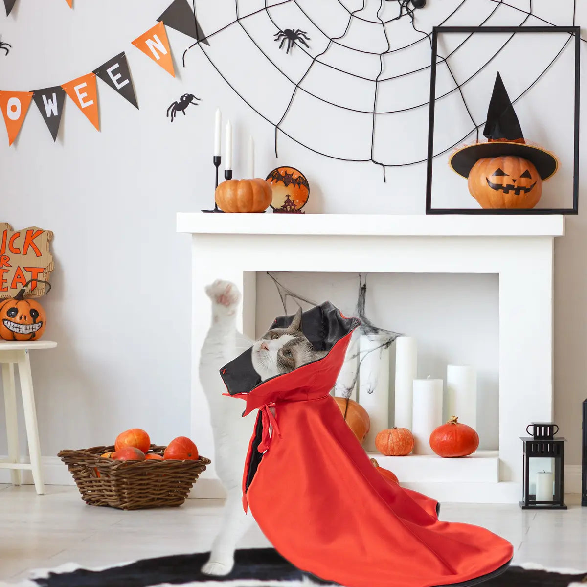 Halloween Pet Costume Cape Cloak for Cats Dogs Wizard Magic Cosplay Cute Breathable,Sohochic